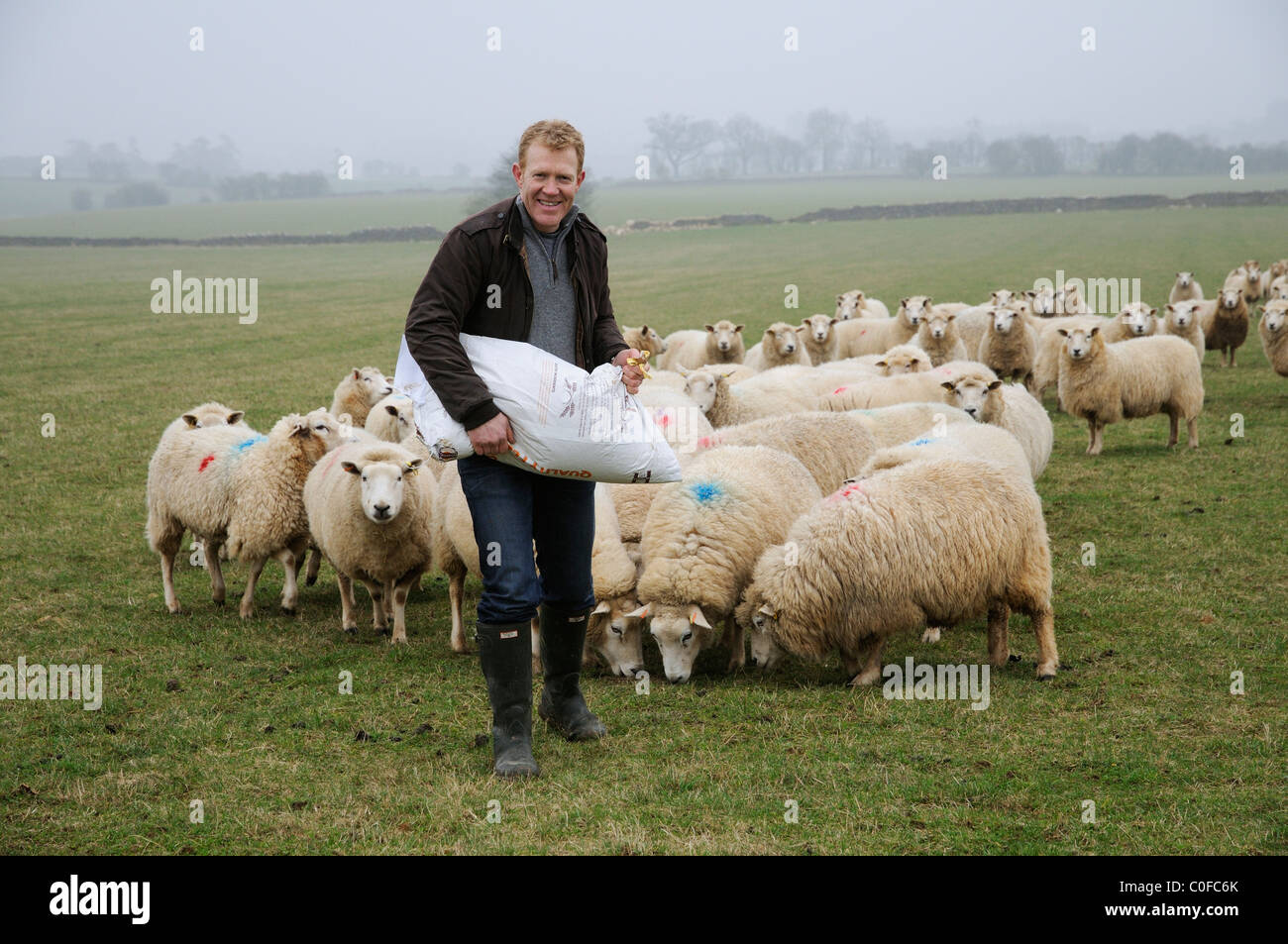 Adam Henson Cotswolds Bauern füttern seine Schafe auf Adams Hof. BBC Countryfile TV-Moderator mit seinen Schafen. Stockfoto