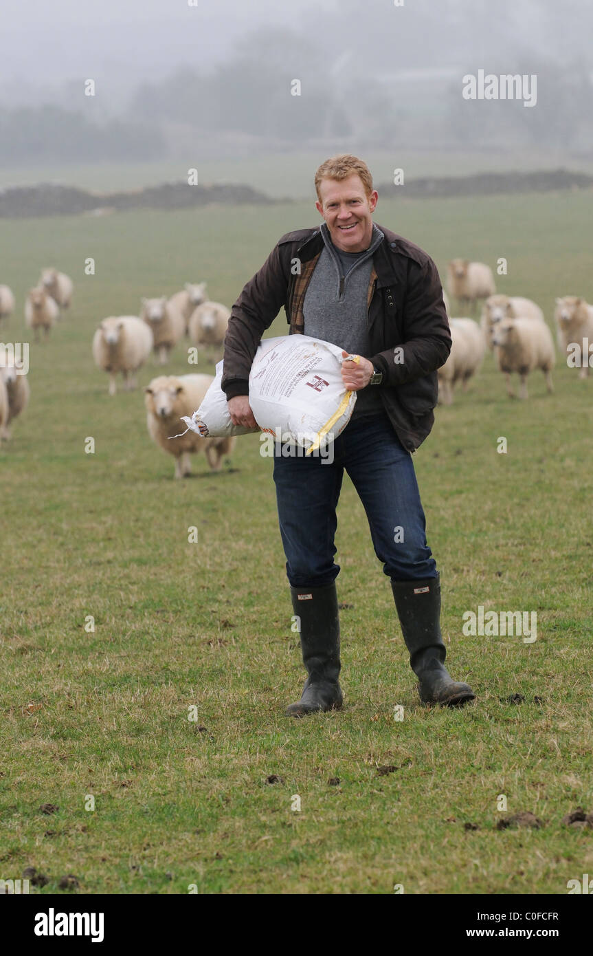 Adam Henson, Cotswolds Landwirt Fütterung seine Schafe auf Adam. BBC Countryfile TV-Moderator mit seinen Schafen. Stockfoto
