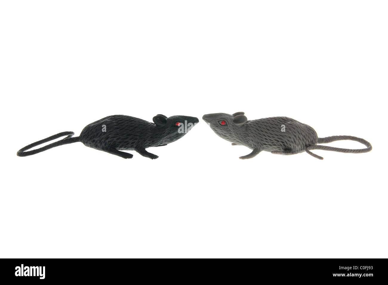 Spielzeug-Ratten Stockfoto