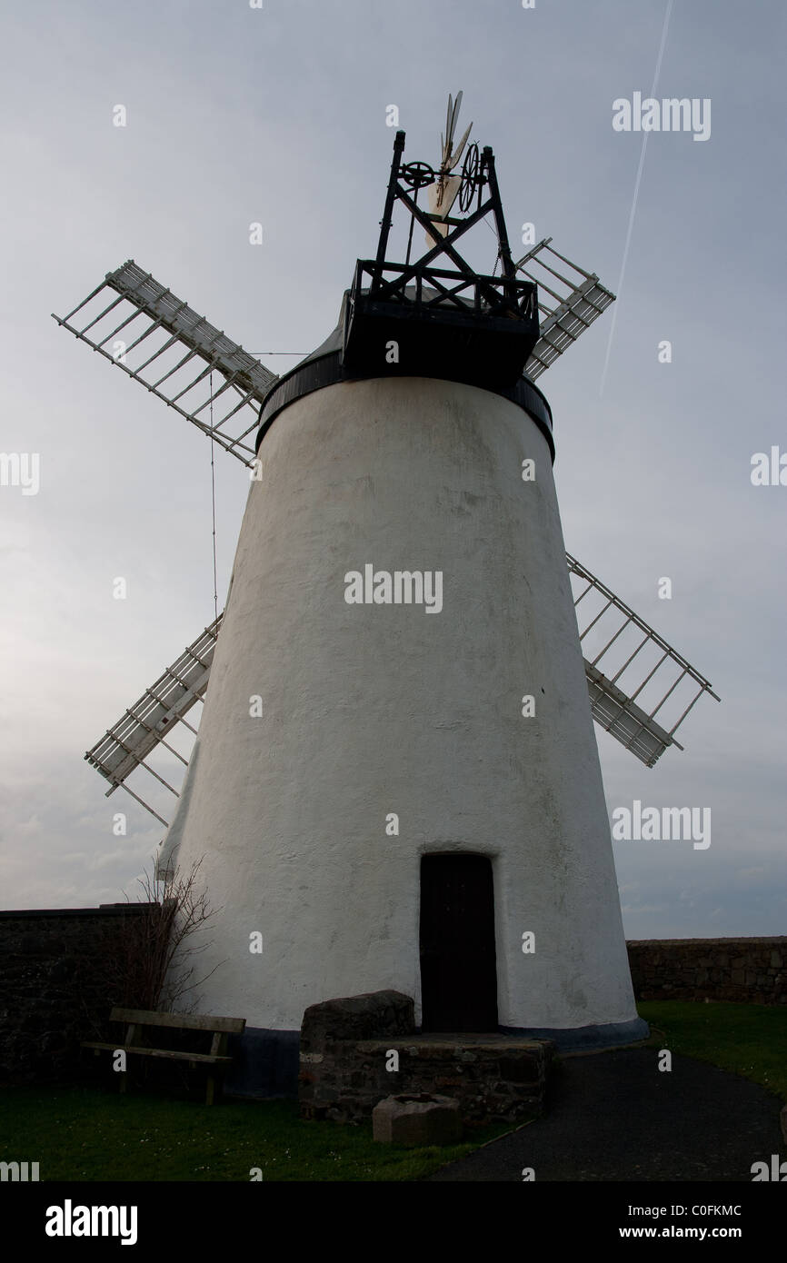 Ballycopeland Windmühle, Millisle, County Down, Nordirland Stockfoto