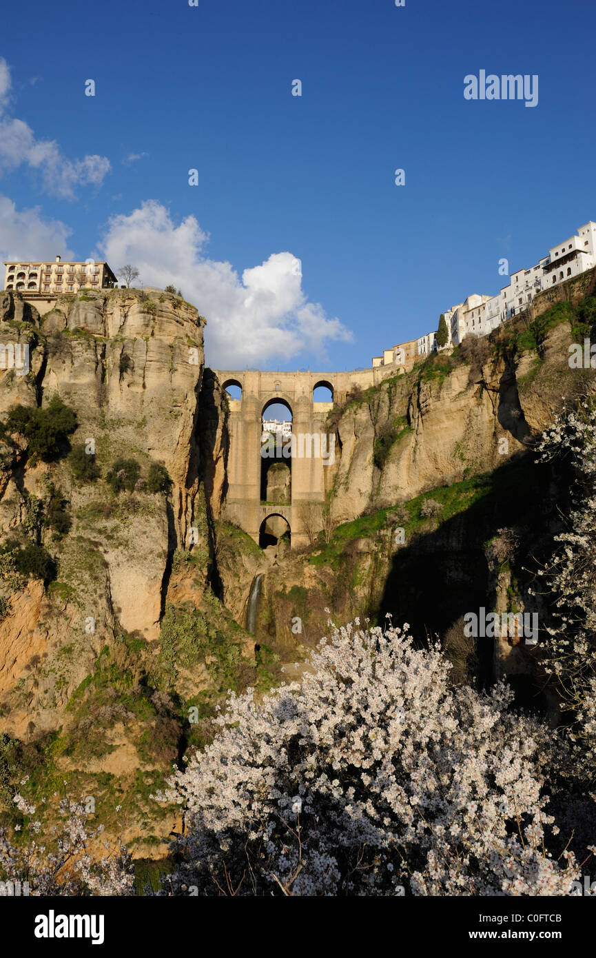 Ronda Tajo sonnenüberfluteten Bild Puente Nuevo Canyon Schlucht im Landesinneren "Costa Del Sol" Reisen Andalusien Spanien Stockfoto