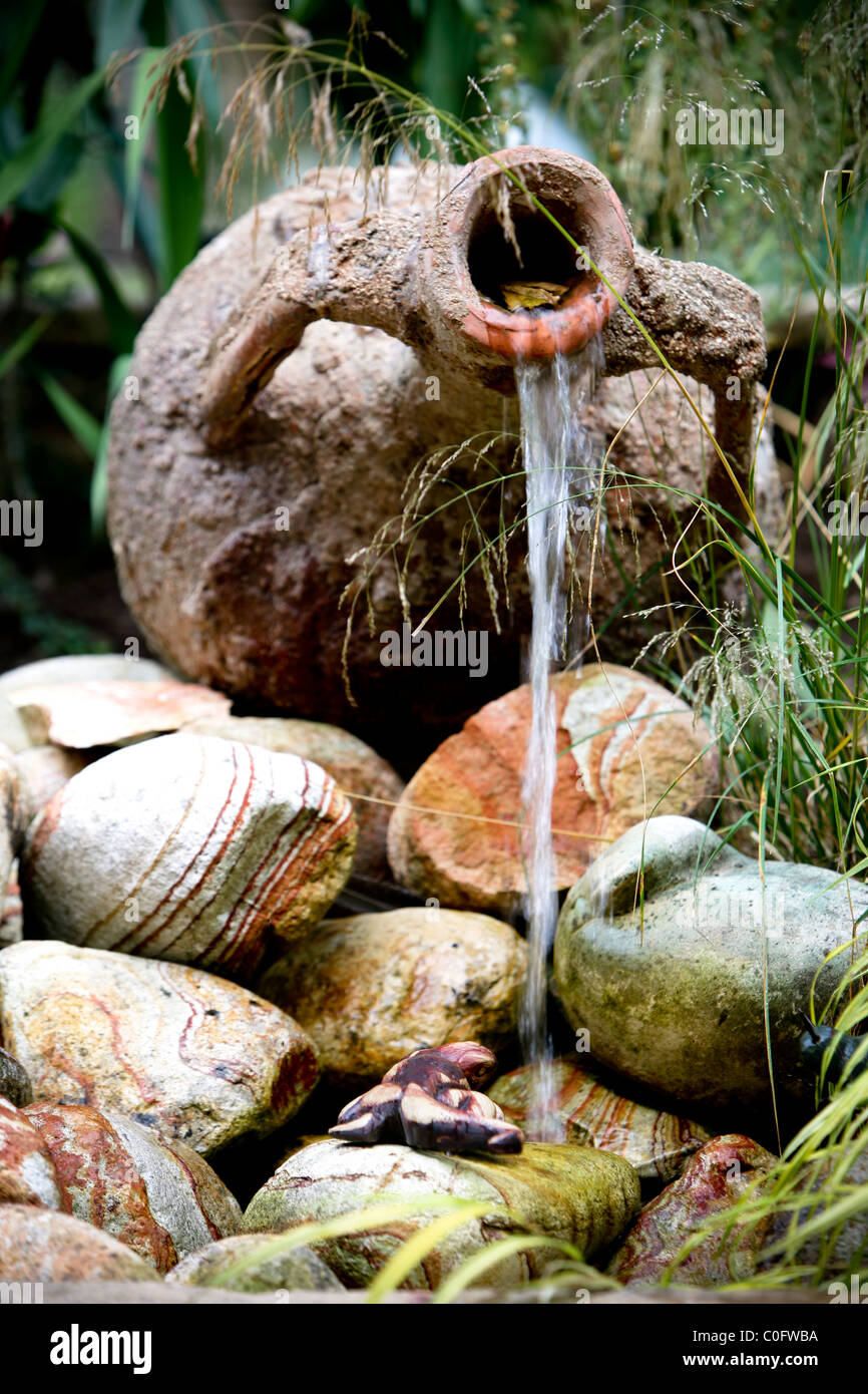 Erbsen wachsen im Sommer in einer Zuteilung oder Garten in Großbritannien Stockfoto