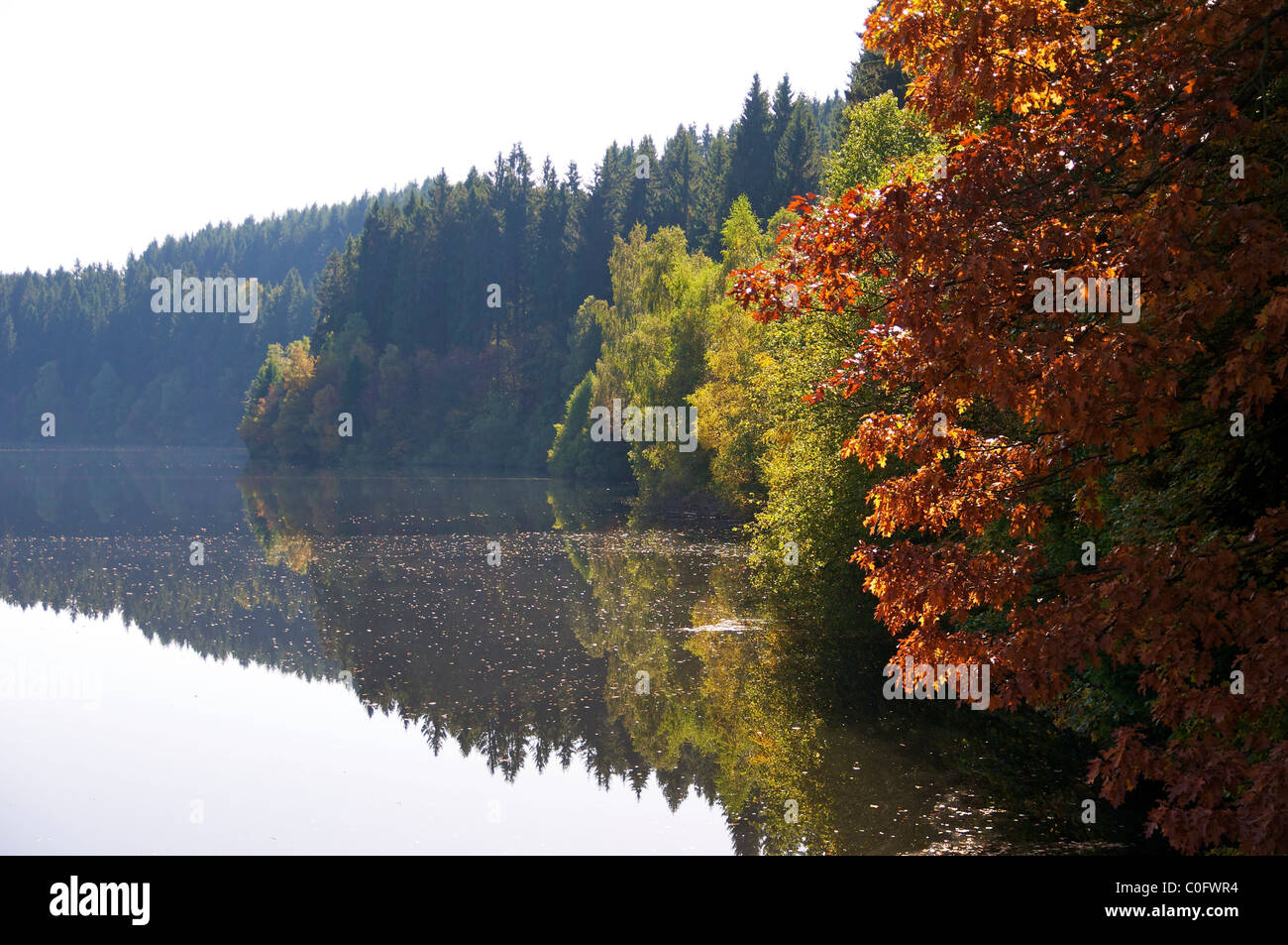 Herbst-Eindruck an der Perlenbachtalsperre in der Nähe von Monschau in der deutschen Eifel. Stockfoto