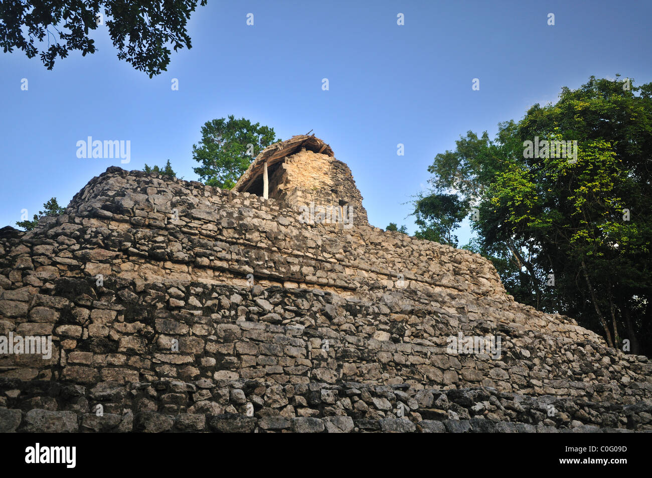 Ruinen im Dschungel bei Coba Yucatan Mexiko Stockfoto