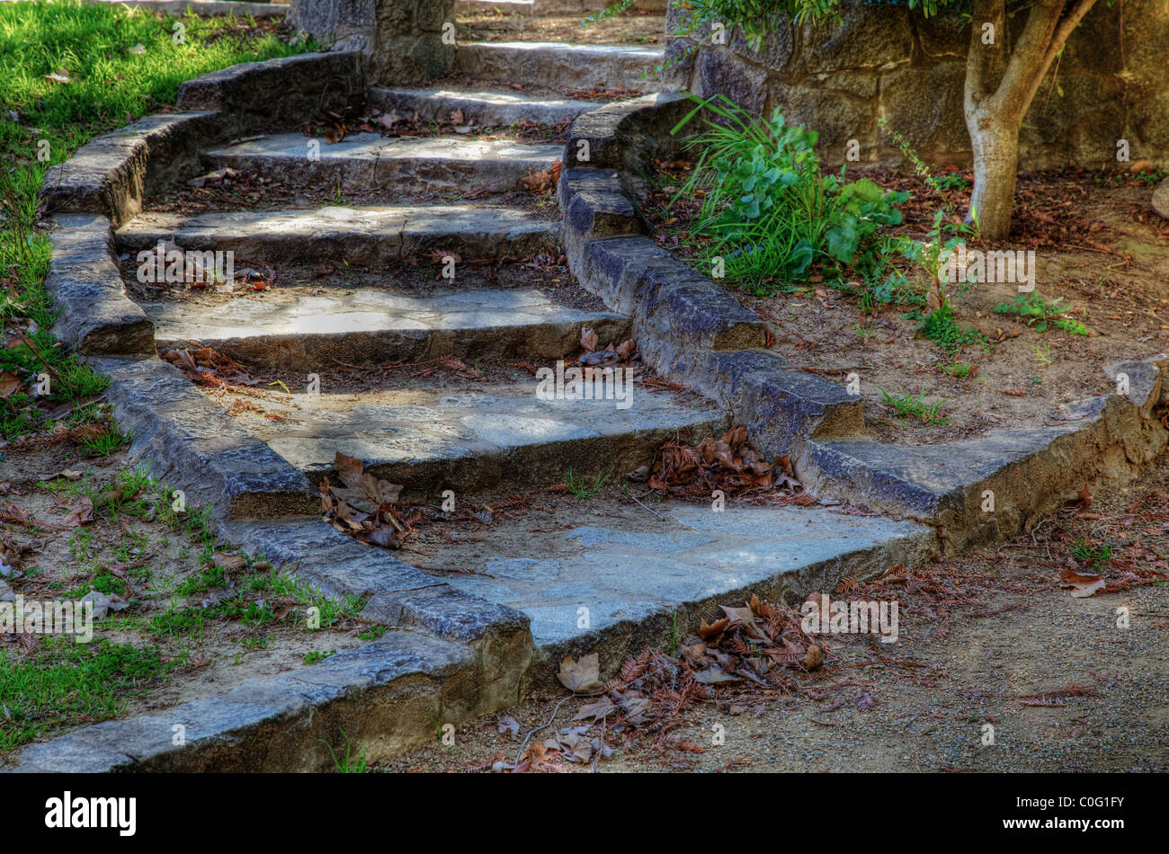 HDRBild der geschwungene Steintreppe im Park Garten mit Rasen und