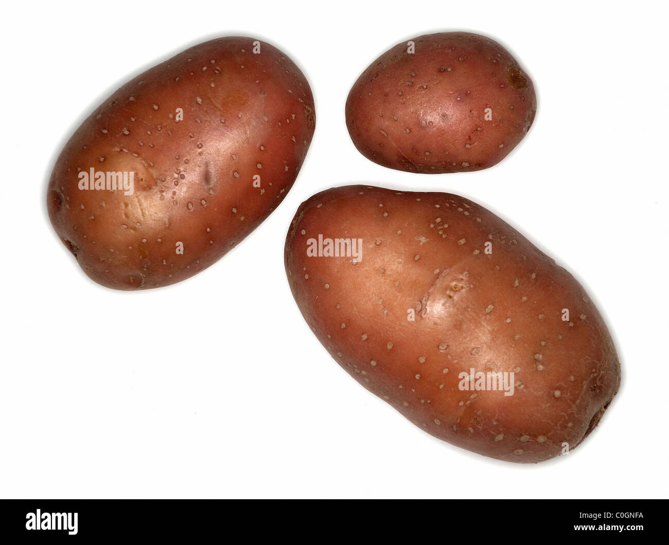 Kartoffeln auf weißem Hintergrund Stockfoto