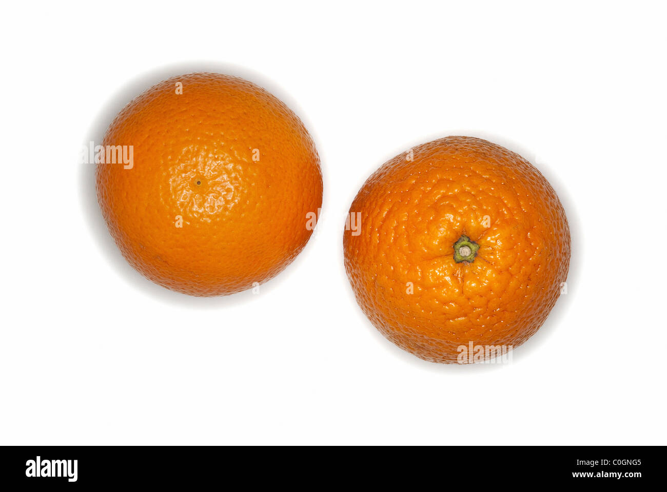 Orangen Früchte auf weißem Hintergrund Stockfoto