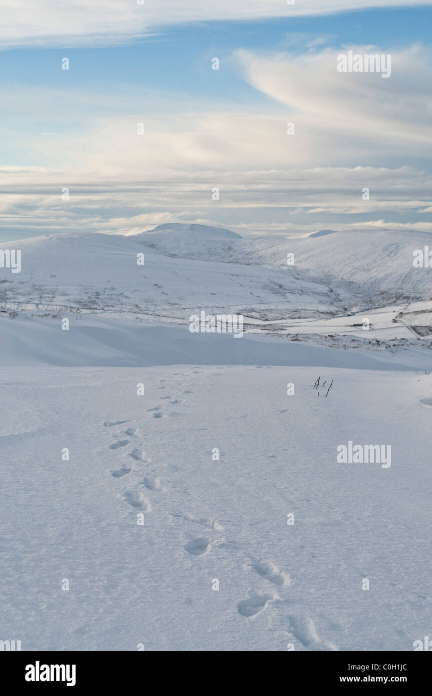 dh ORPHIR ORKNEY Fußtritt in den Schnee von Die Winterwanderungen in den Bergen von „WIHIR Hills“ großbritannien Stockfoto