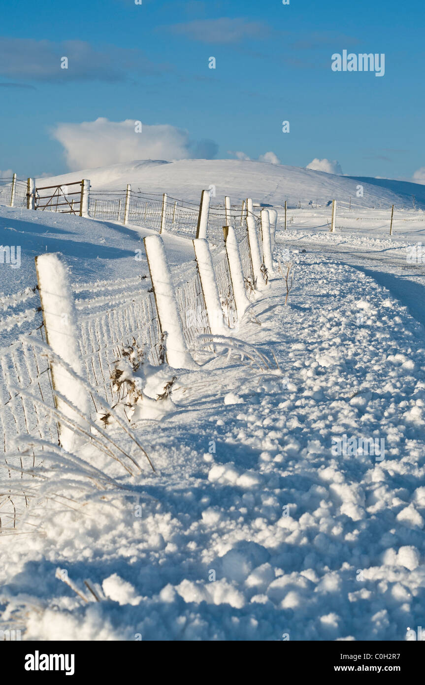 dh ORPHIR ORKNEY Schnee Feld Zaun am Straßenrand Straßenglätte Stockfoto