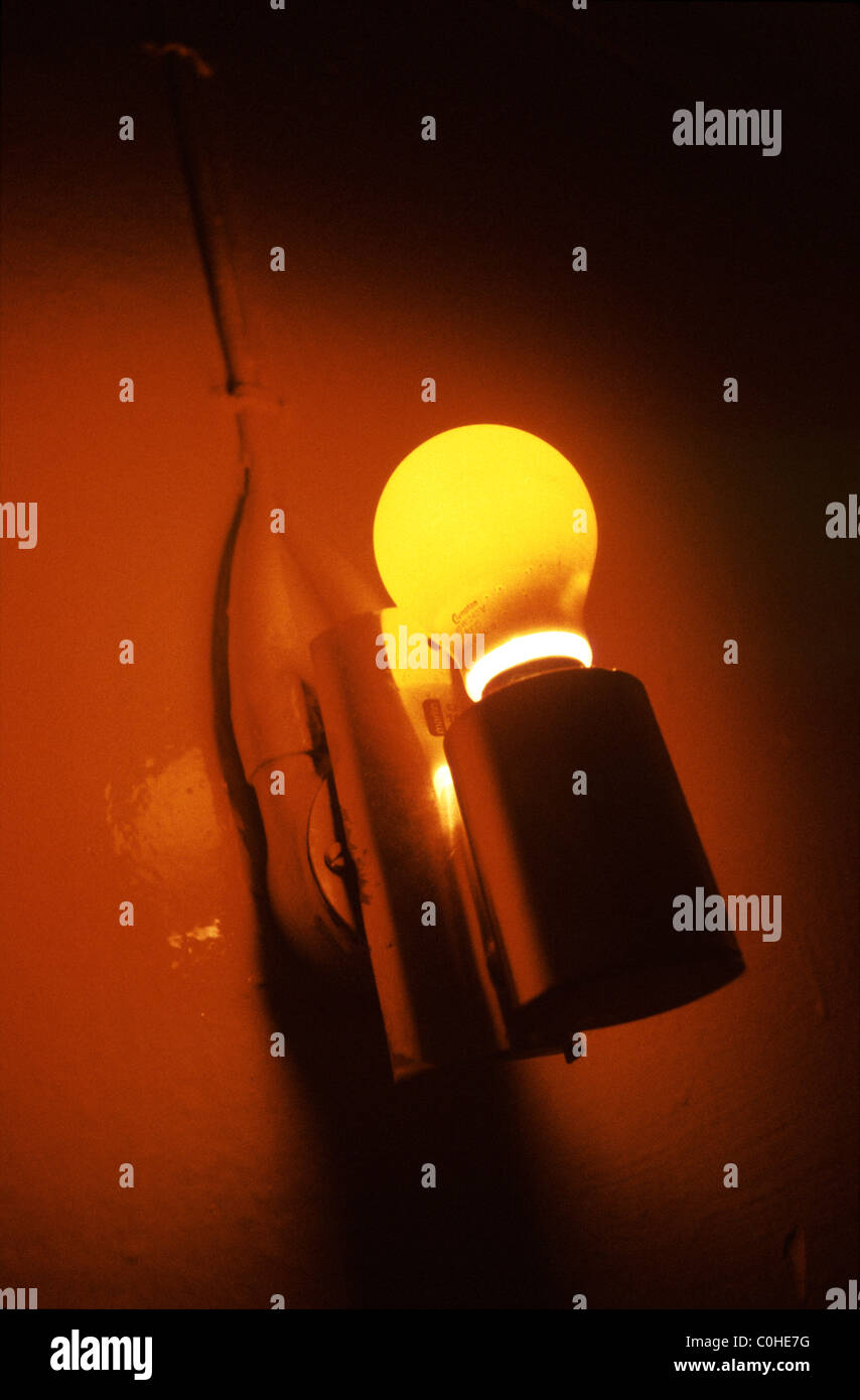Glühbirne Stockfoto