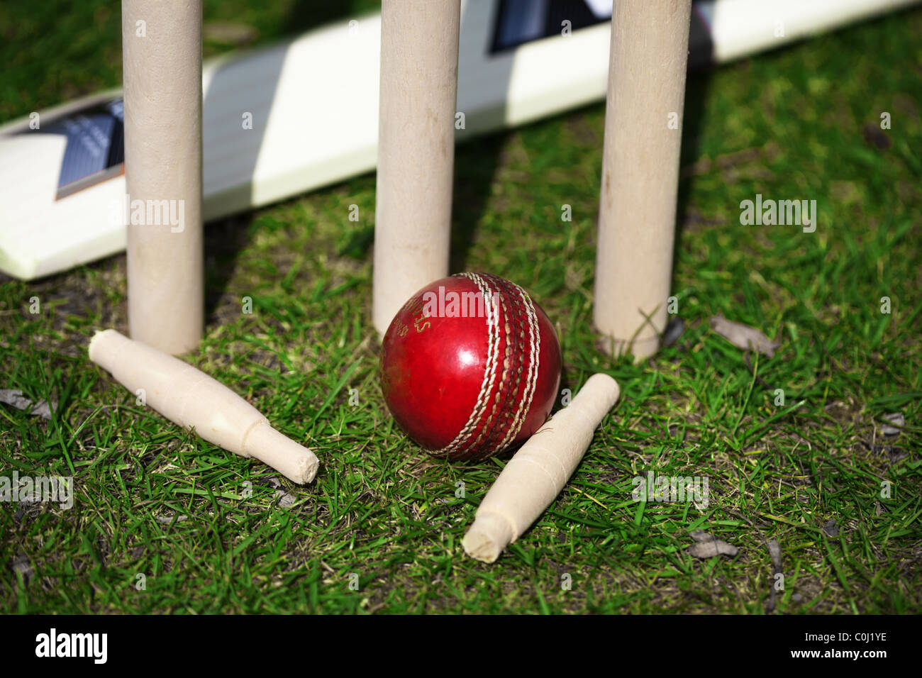 Cricket-Ausrüstung Stockfoto