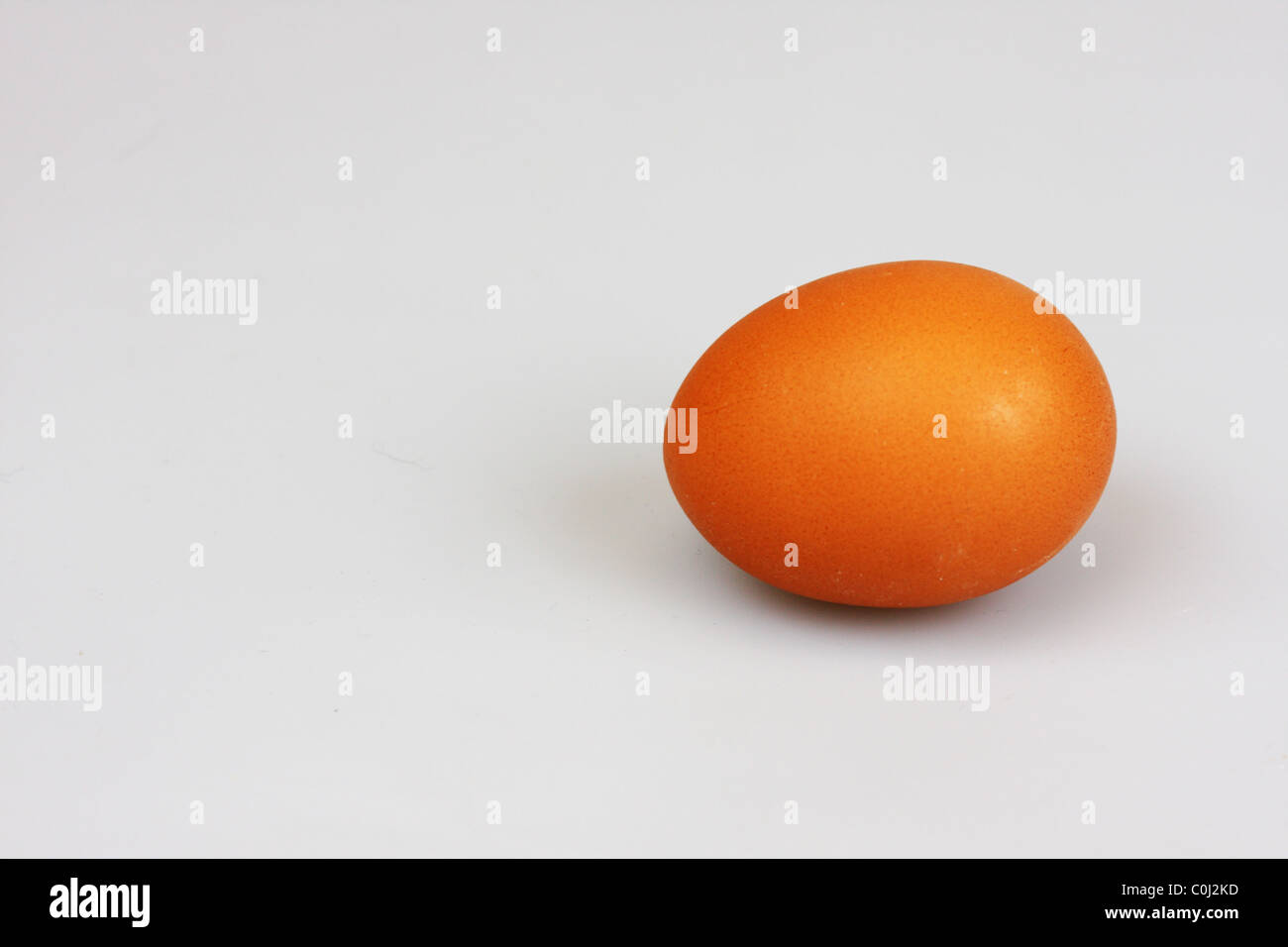 Einziges Ei auf weißem Hintergrund Stockfoto