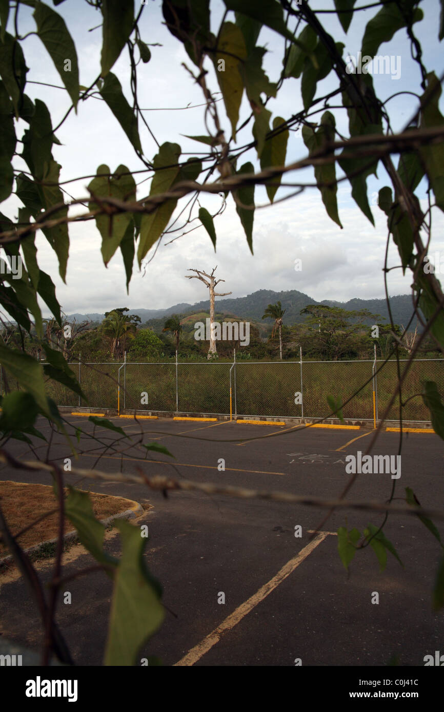 Parkplatz Aussicht auf Hügel und toter Baum in Jaco. Stockfoto