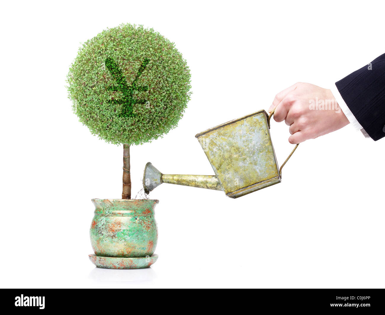 Geschäftsfrau Hand einen Topf Baum mit Yen-Symbol mit Metall Wasser gießen kann auf weißem Hintergrund Stockfoto