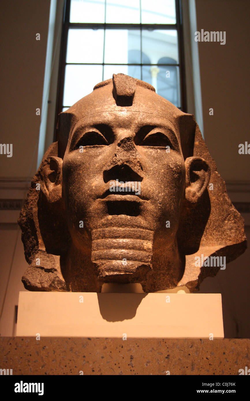 Kopf aus eine kolossale Statue des Königs Amenemhat III im British Museum. 12. Dynastie, ca. 1830 BC. Von Bubastis in Ägypten. Stockfoto