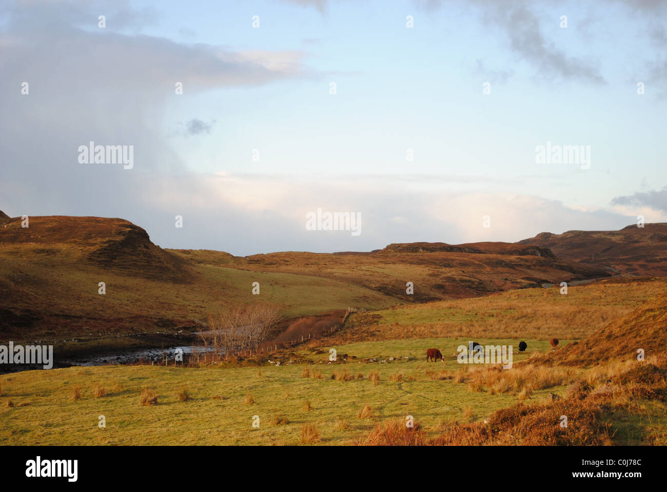 Landschaft in der Nähe von Dunvegan, Isle Of Skye, Schottland, UK Stockfoto