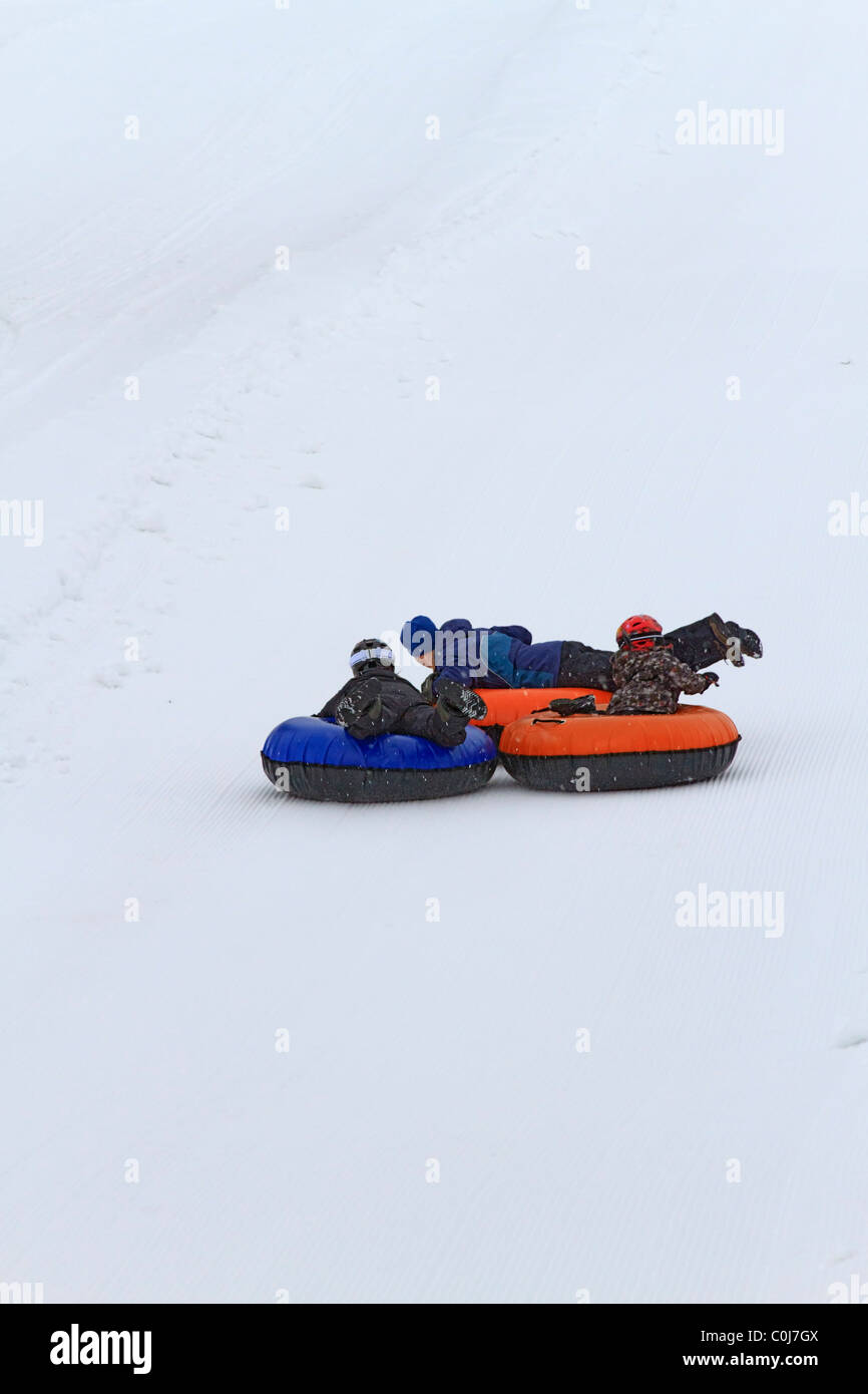 Rohre im Gorgoza Park außerhalb Park City, Utah Stockfoto