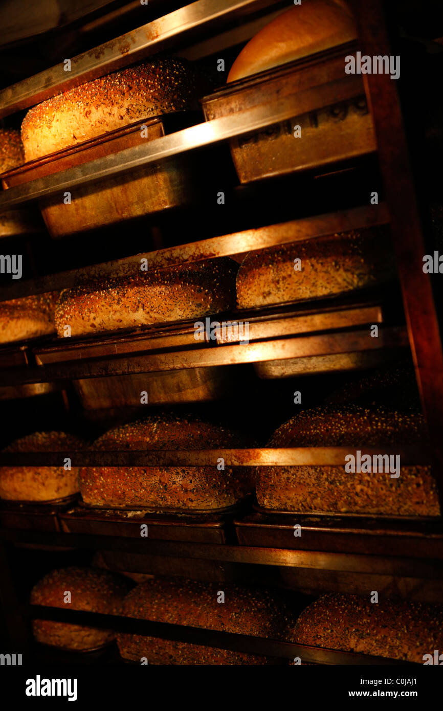das Brot in den Ofen in der College-Bäckerei, Birmingham College für weitere und höhere Ausbildung kochen. Stockfoto