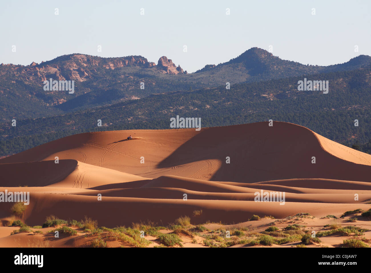 Reservieren Sie Korallen Sanddünen in den USA. Das orange Leuchten des Sandes in der Sonne Stockfoto