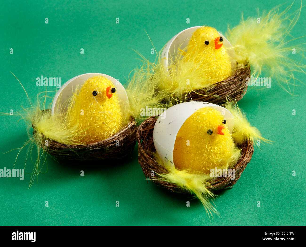 Drei süße Ostern Küken in ihren Eierschalen Stockfoto