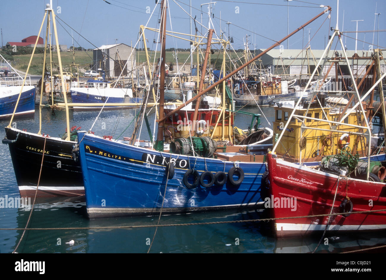 Motor Trawler im Hafen von Kilkeel County Down Northern Ireland UK Europe Stockfoto