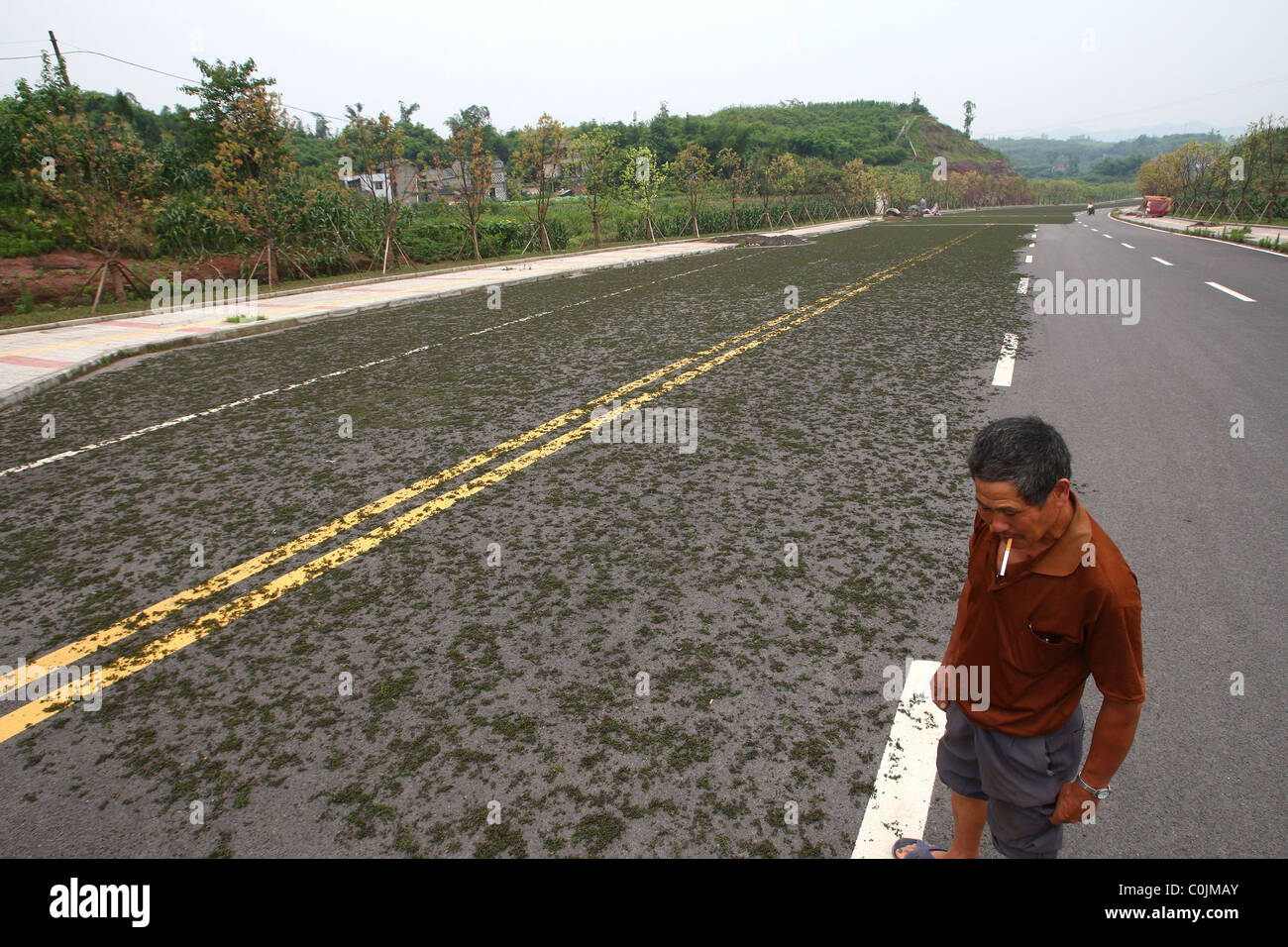 Autobahn bedeckt mit Pfeffer Pfeffer deckt die Autobahn in die Stadt Taojia in Chongqing, China am 24. Juni (08).   Fünf von Stockfoto