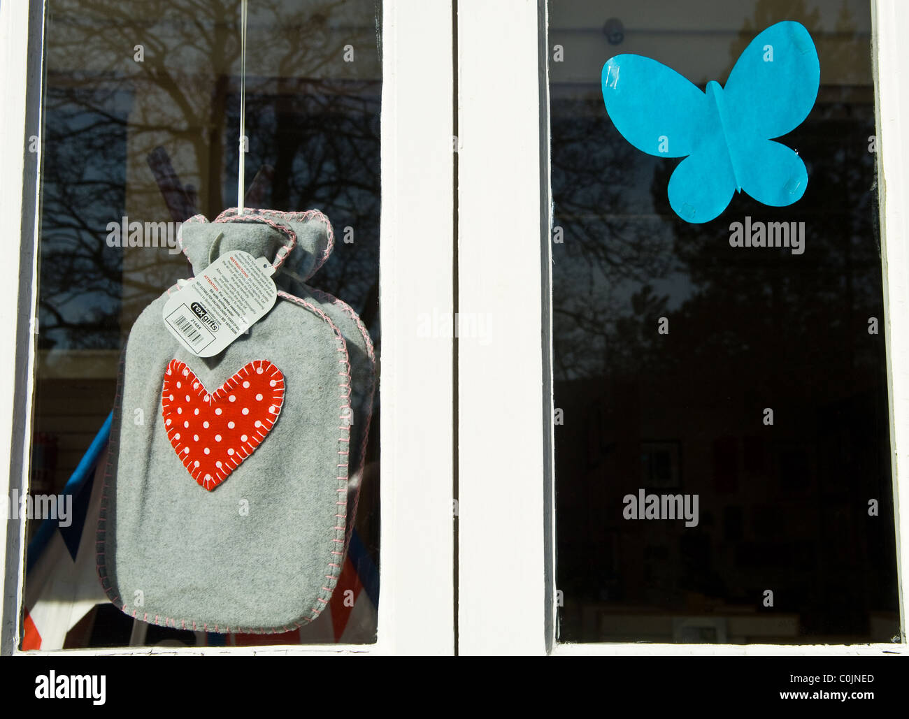 Einen grauen wollig warmes Wasser Flasche Mantel oder Jacke und einem blauen Ausschnitt eines Schmetterlings montiert in einem Schaufenster Stockfoto