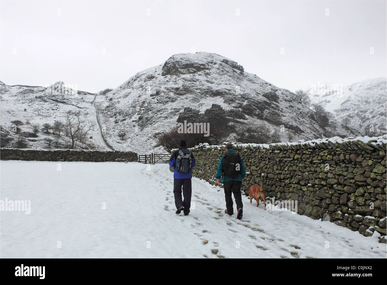 Kupferbergwerke Tal, Coniston Fells, Cumbria, Lake District, England, Großbritannien, Vereinigtes Königreich, UK, Europa Stockfoto