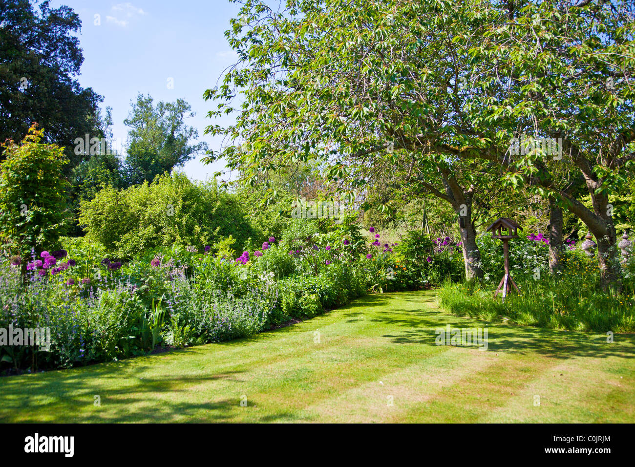 Blumenbeete oder Betten rund um einen gestreiften Rasen in einem englischen Landhaus-Garten im Sommer mit hölzernen Vogel Tisch unter Bäumen. Stockfoto