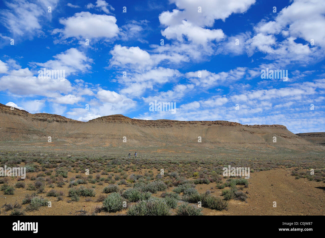 Berg mit flachen Sandstein Top in Karoo Wüste. Südafrika. Stockfoto