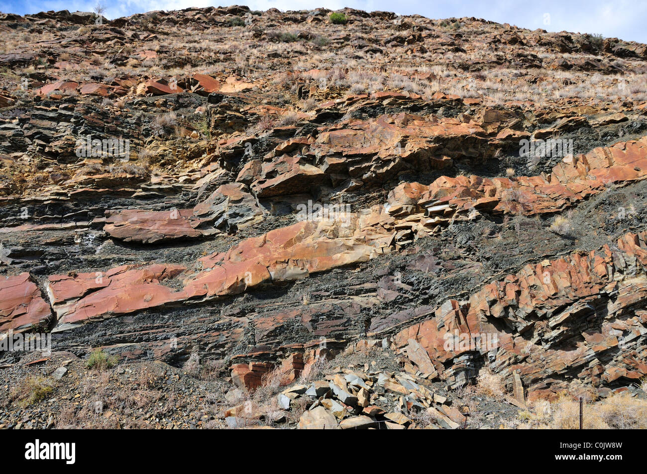 Schichten von Sandstein und Schiefer Felsen. Südafrika. Stockfoto
