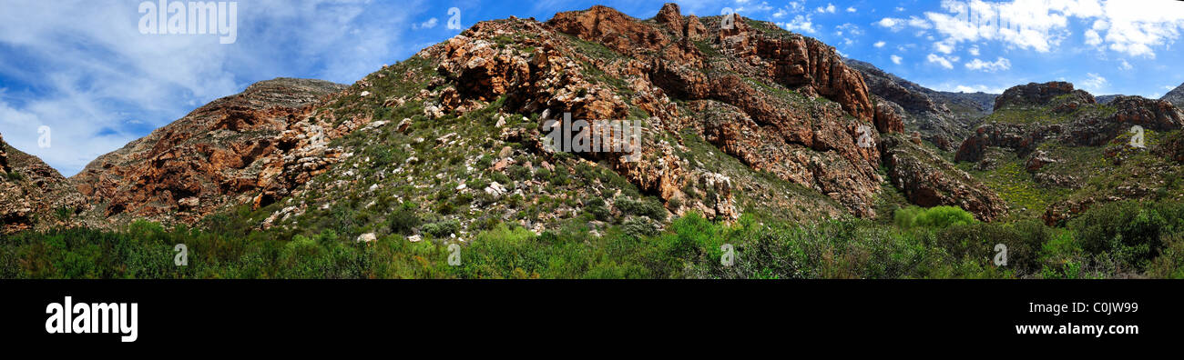 Panorama der Berge aus rotem Sandstein am Swartberg Nature Reserve. Südafrika. Stockfoto
