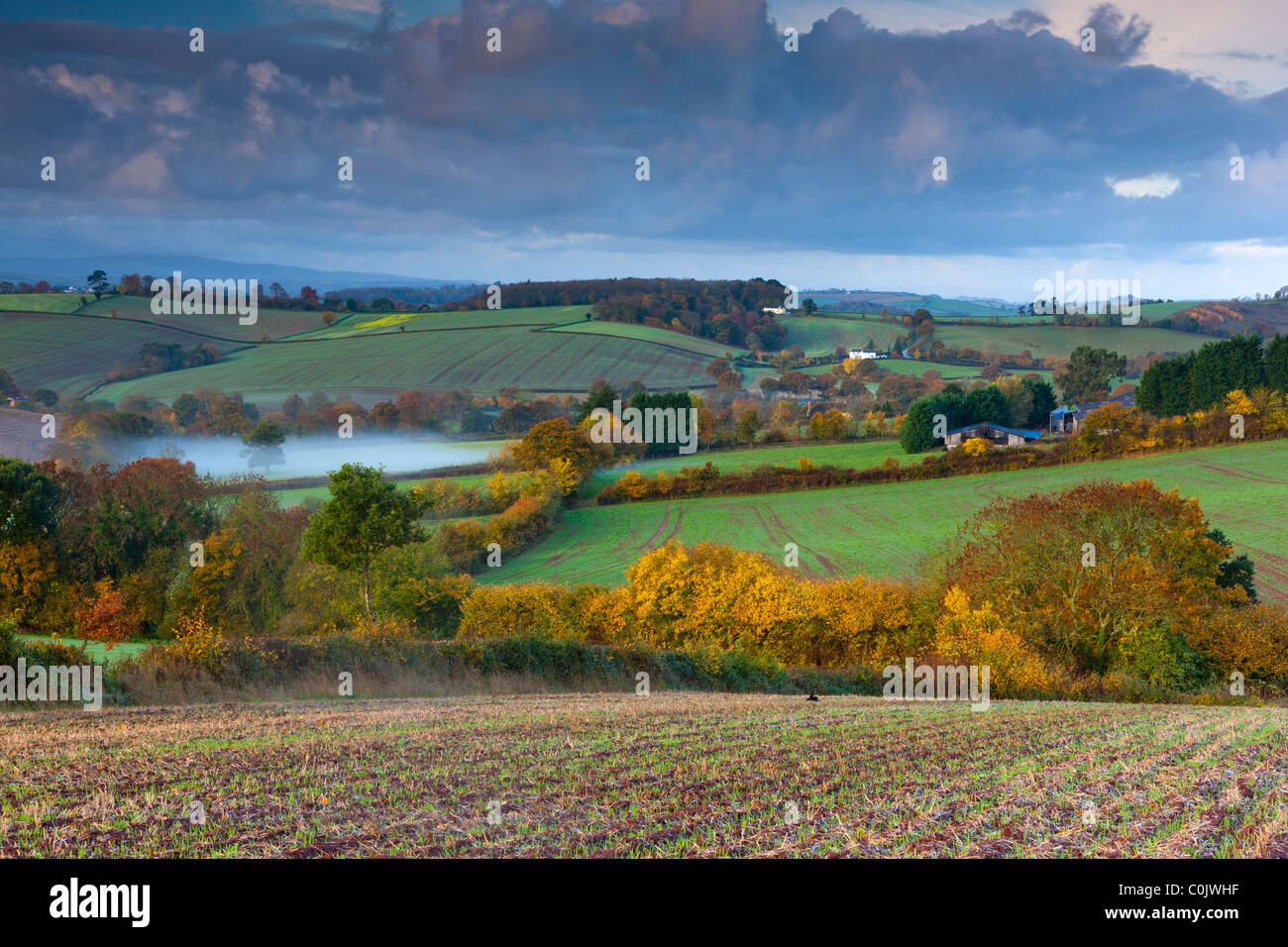 Patchwork-Felder im Lande in der Nähe von Shobrooke, Devon, England, Vereinigtes Königreich, Europa Stockfoto