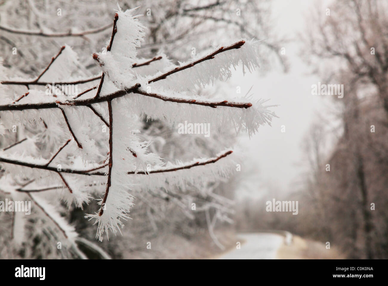 Skyline Drive in der Nähe von Swift laufen Lücke, Shenandoah-Nationalpark, Virginia, USA Stockfoto