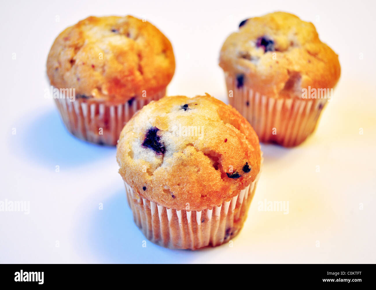 Blaubeer-muffins Stockfoto