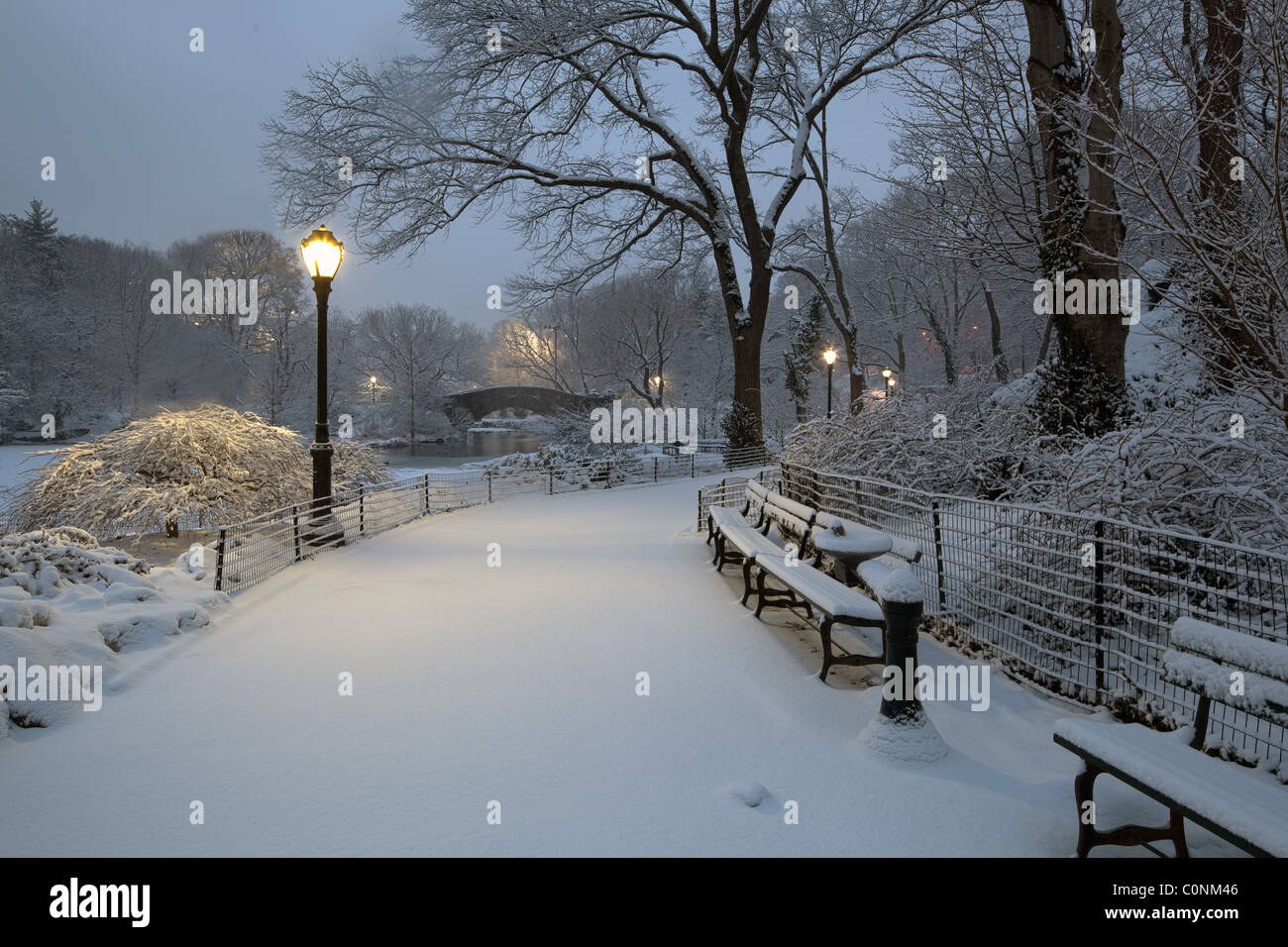 Central Park - New York City während eines Schneesturms Stockfoto