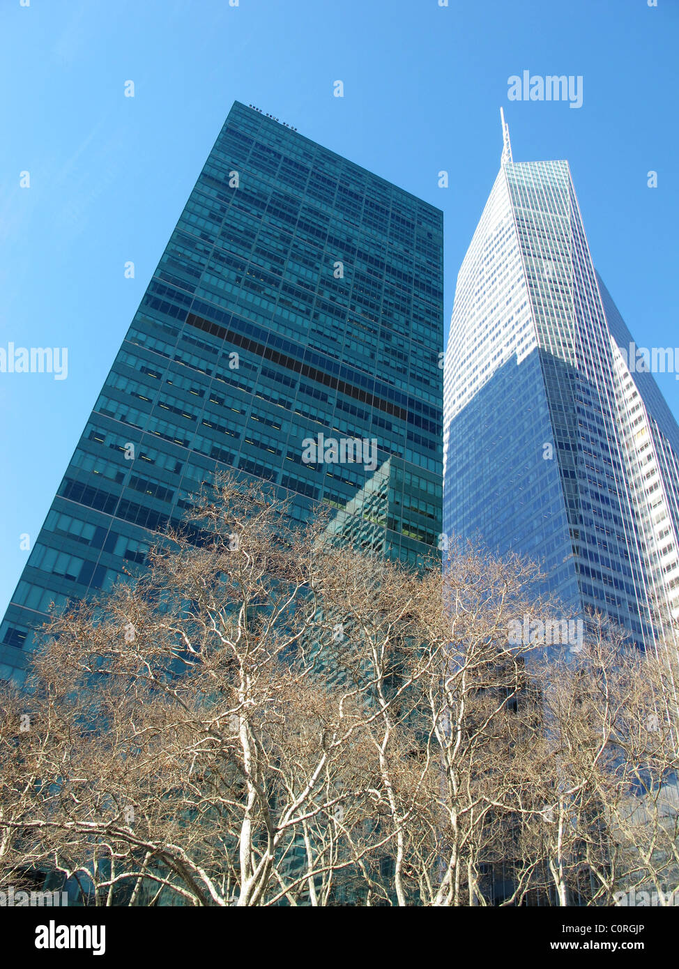 Wintersonne auf Bryant Park Bäume und Wolkenkratzer Stockfoto
