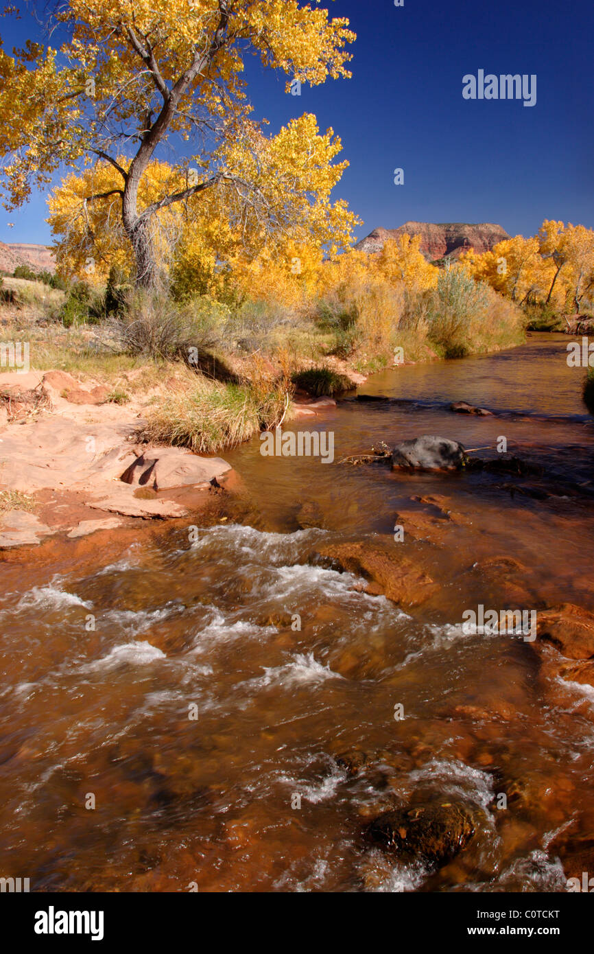Jemez River, New Mexico Stockfoto