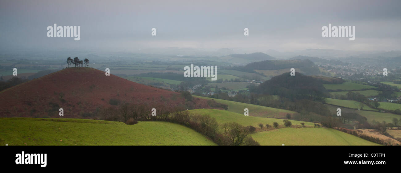 Dorset Jurassic Küste an einem nebligen Morgen erschossen vom Steinbruch Hügel über Colmers Hügel Stockfoto