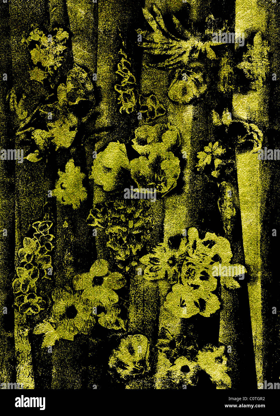 Goldene Blumen auf schwarzem Hintergrund Stockfoto