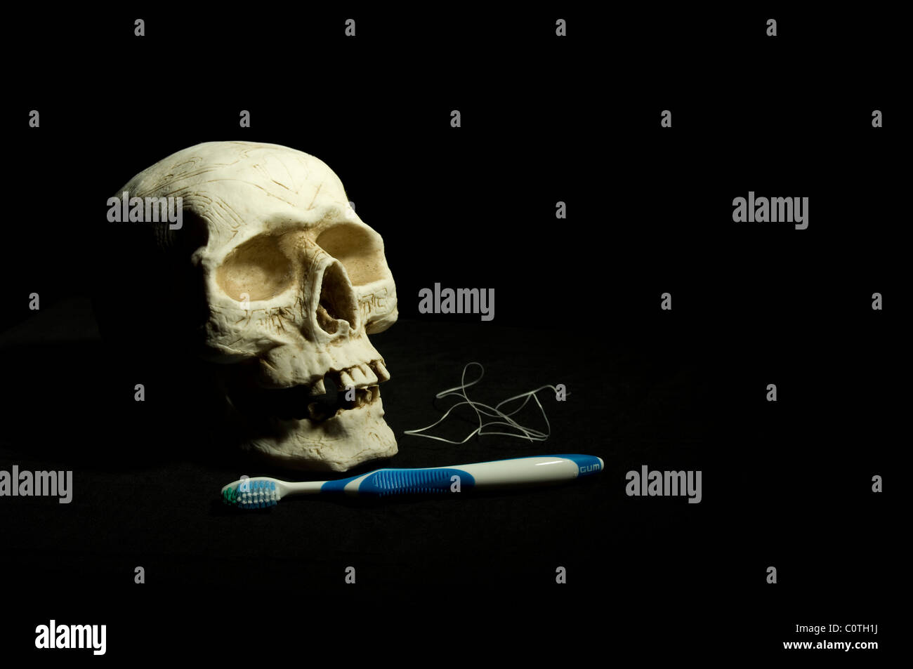 Ein keramische Schädel sitzt hinter einer Zahnbürste und einige Zahnseide. Stockfoto