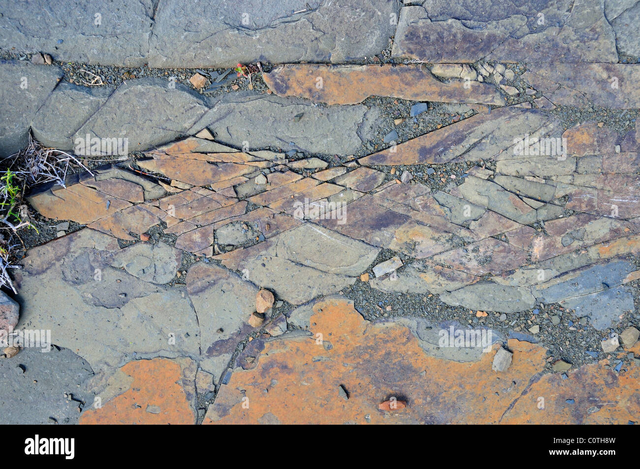 Frakturen des rhombischen Muster aus Sandstein. Südafrika. Stockfoto