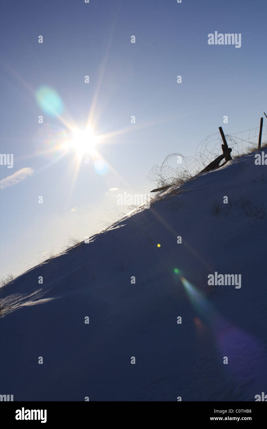 Hang-Weide-Zaun, der in Vergessenheit geraten ist. Stockfoto