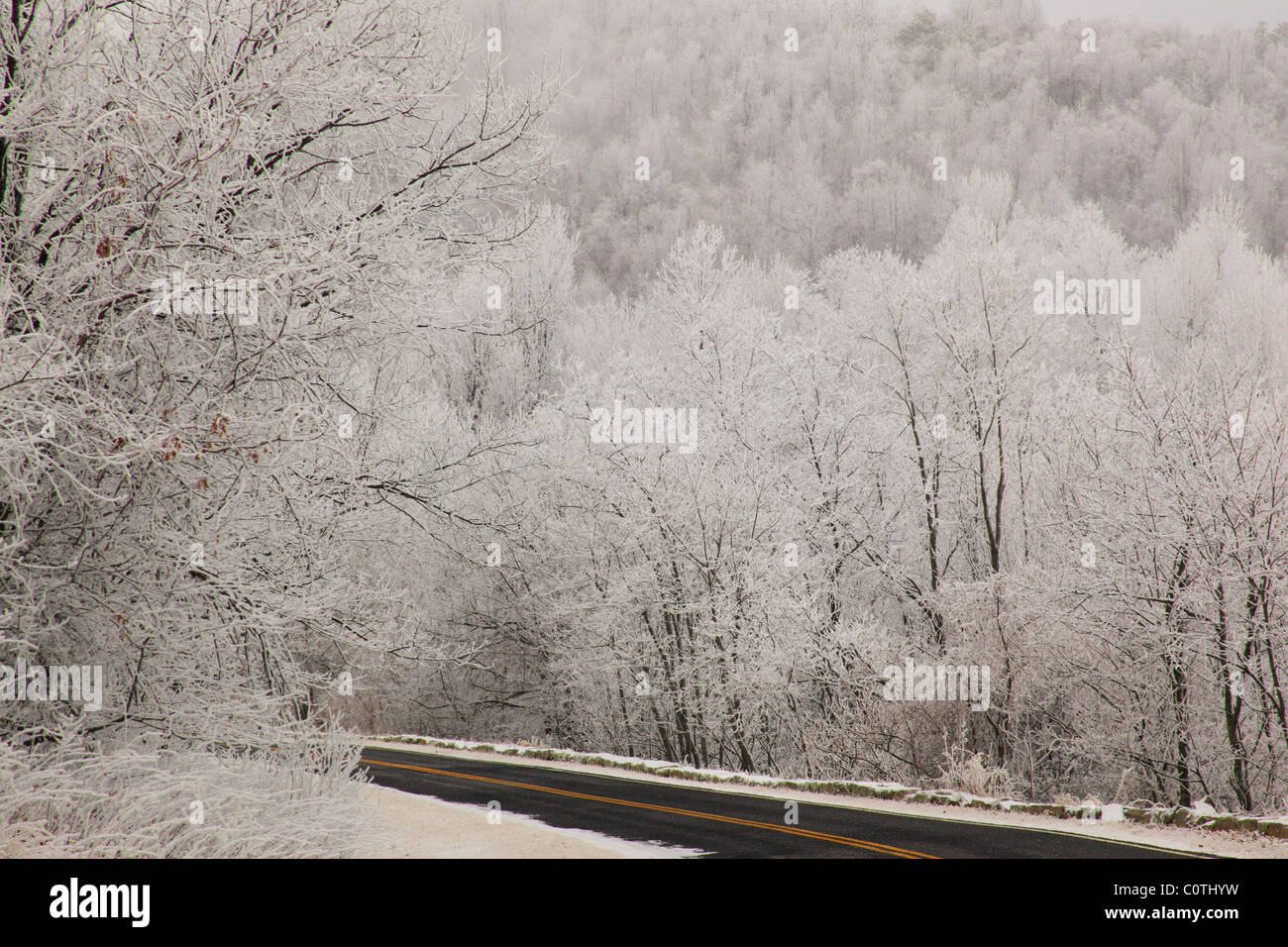 Skyline Drive in der Nähe von Sandboden, Shenandoah-Nationalpark, Virginia, USA Stockfoto