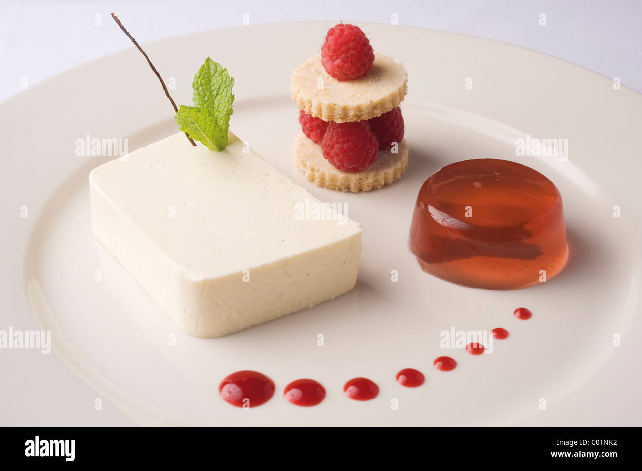 Griechischer Joghurt und Vanille-Terrine mit Himbeeren und Lavendel ...