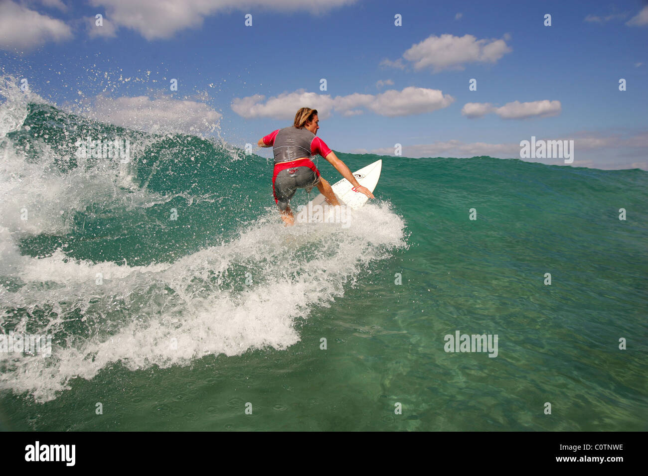 Fuerteventura (Spanien; Kanarische Inseln): Surfen Stockfoto