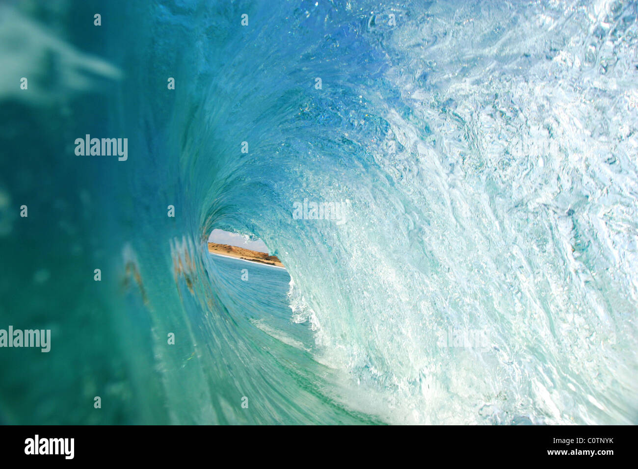 Fuerteventura (Spanien; Kanarische Inseln): Welle Stockfoto