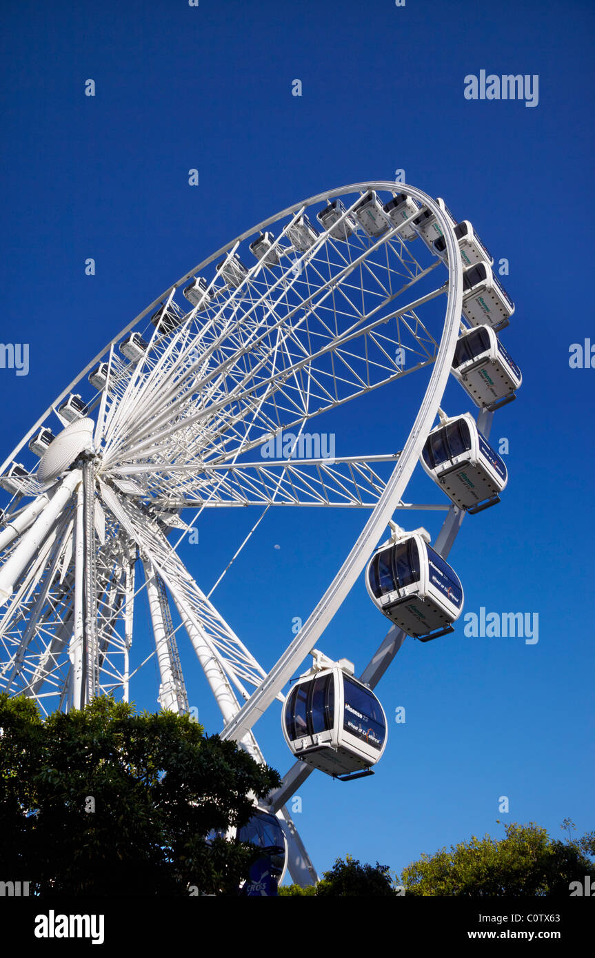 Wheel of Excellence auf der V & A Waterfront, Cape Town, Western Cape, Südafrika. Stockfoto