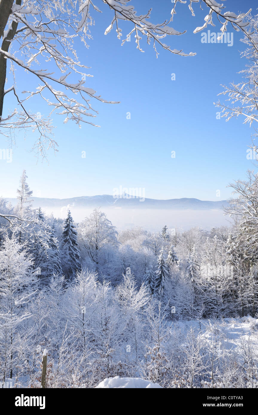 Winterlandschaft an einem hellen Sonnentag (Isergebirge, Tschechien) Stockfoto