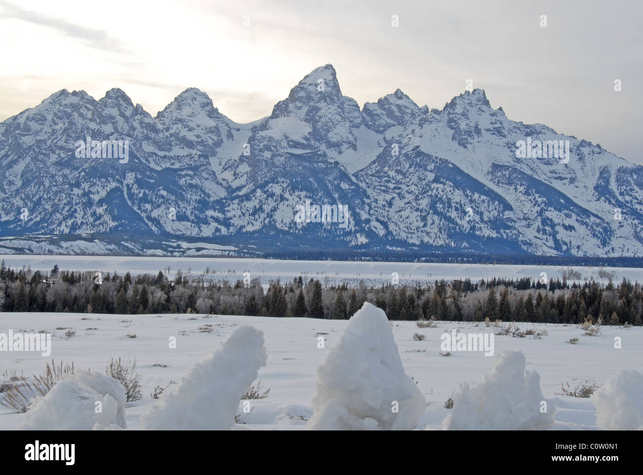 Grand Teton Berge, Jackson Hole, Wyoming, Winter, USA Stockfoto